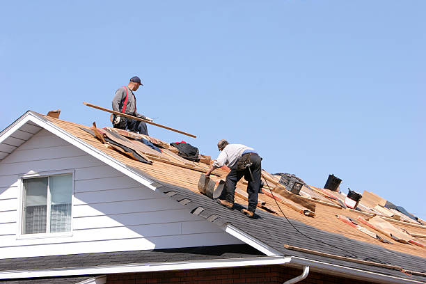 Best Skylight Installation and Repair  in Marianne, PA